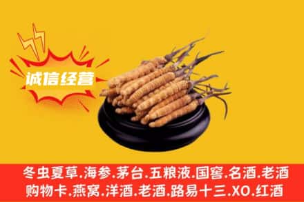 亳州涡阳县回收冬虫夏草